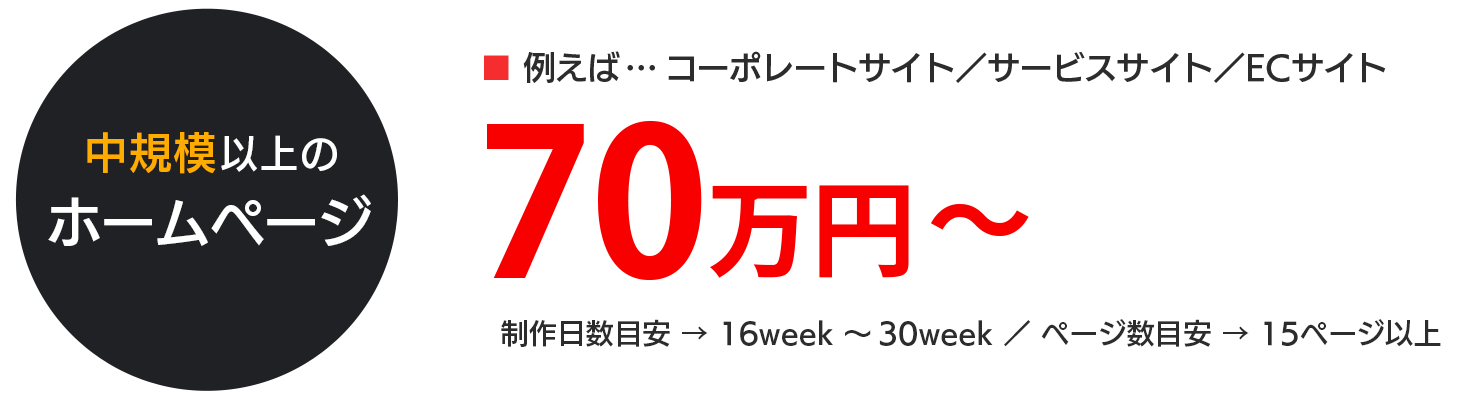 中規模以上のホームページ制作